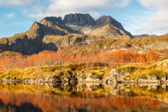 Herbststimmung Lofoten, Moskenesøy, Norwegen