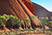Uluru im Morgenlicht